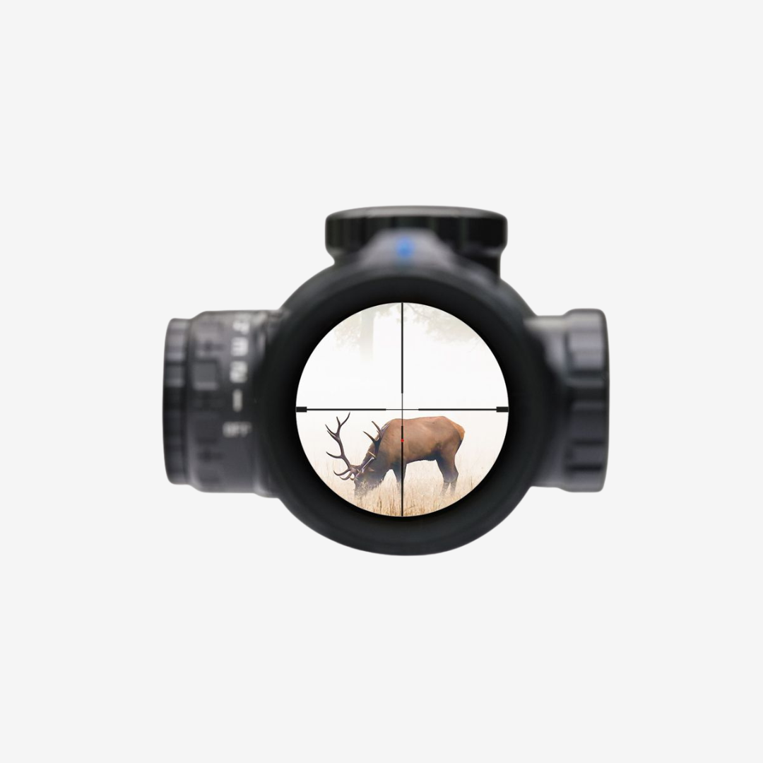 SIERRA3 BDX - 6,5-20x52 - BDX-R1 Digital SFP